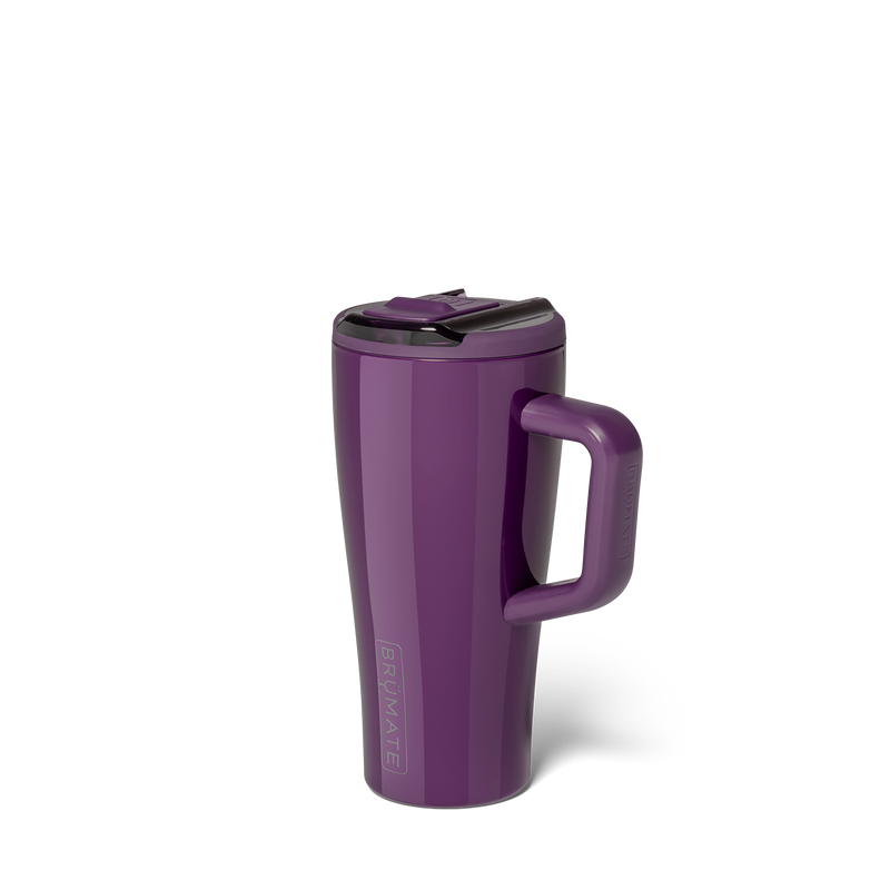 Era Flip 20oz | Plum