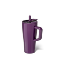 Era Flip 20oz | Plum